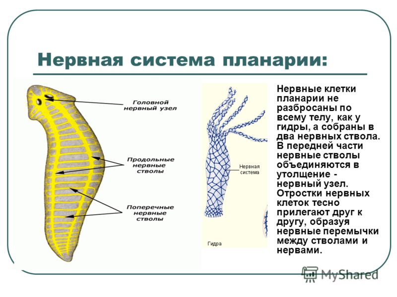 Кракен это наркотики