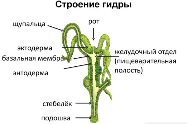 Кракен драг