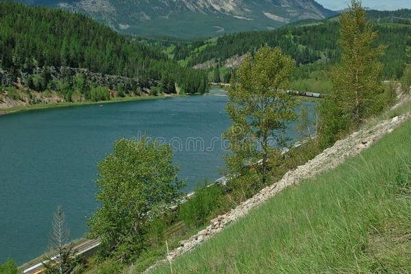 Рабочий кракен